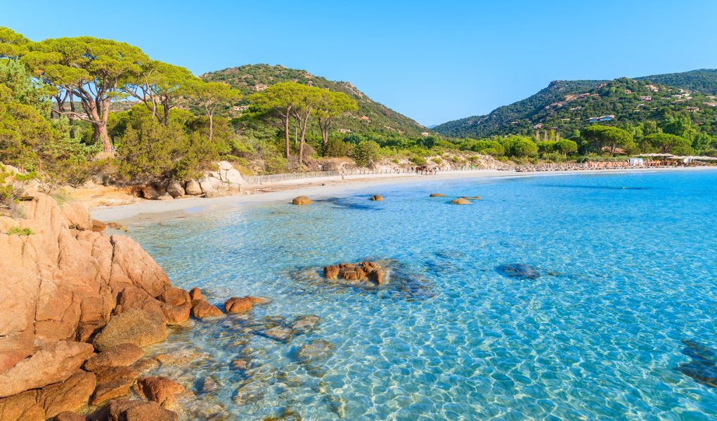azure-crystal-clear-sea-water-of-palombaggia-beach-on-corsica-island-picture-id649070922