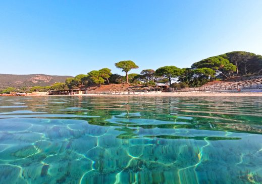 Sandy Palombaggia beach with crystal clear sea, Corsica, France Palombaggia beach, Corsica, France